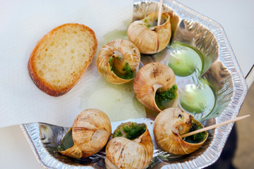 snails as gourmet food with bread