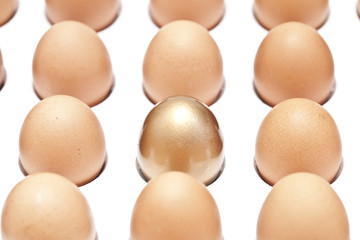 eggs