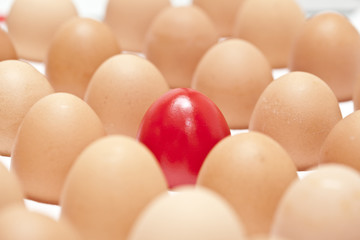 eggs