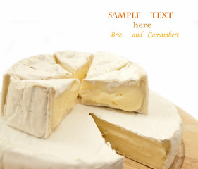 Circle brie and camembert cheese on wooden desk
