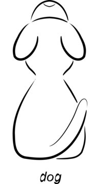 Hund