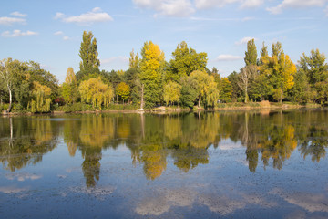 Fototapeta premium Herbst an der Alten Donau/Wien