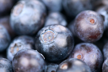Heidelbeeren