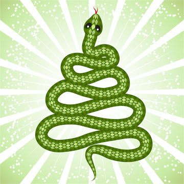 Cute snake (symbol of 2013 year)