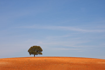 Paisagem minimalista Alentejana
