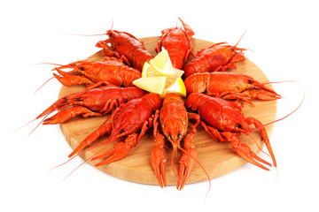 Tasty boiled crayfishes on chopping board isolated on white