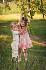 delicious mulberry tree