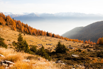 Alpi Retiche - paesaggio autunnale