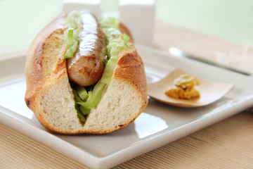 Pork And Cabbage Hot Dog