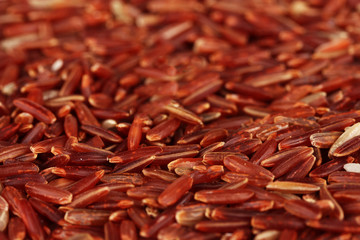 Background  red rice