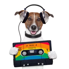 Tableaux ronds sur aluminium Chien fou music cassette tape headphone dog