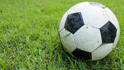 Plakat Soccer ball on grass