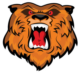 Aggressive and Angry Bear Head Mascot