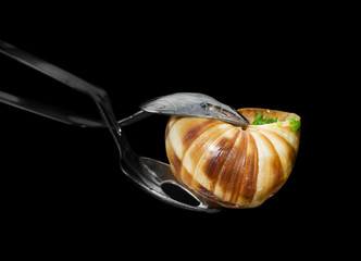 French pincers for escargot