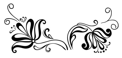 design floral illustration