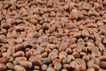 Pine nuts