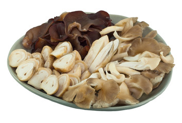 Set of mushroom