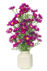 minimalistic  bouquet  - mini magenta chrysanthemums flowers