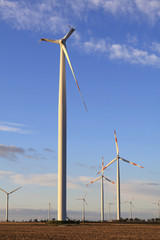 Fototapeta premium Die abgebrochenen Flügel eines Windkraftrades in Sachsen-Anhalt