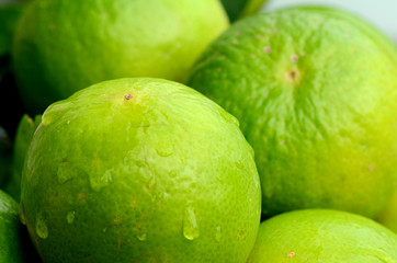 Green Lemon Closed-up.