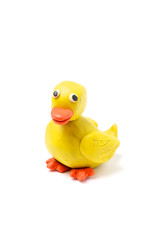 duck