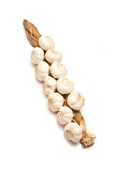 String of garlic bulbs isolated on a white studio background.