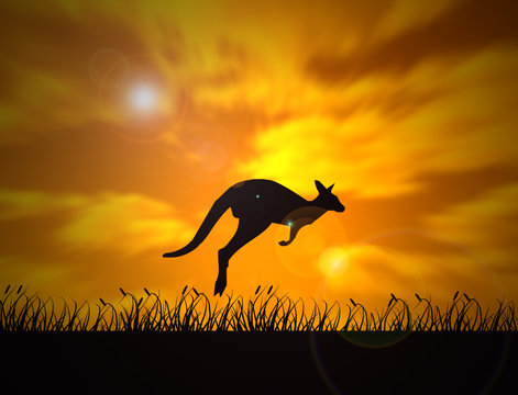 Australia - Kangaroo Jump - On The Sunset