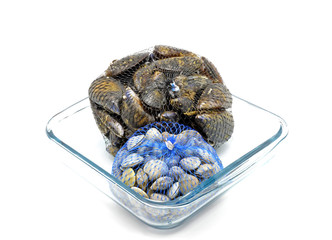 mussels and clams in two net bags on glass bowl