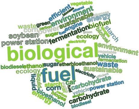 Word cloud for Biological Fuel