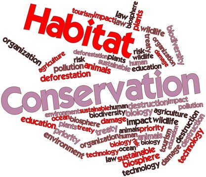 Word cloud for Habitat Conservation
