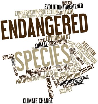 Word cloud for Endangered Species