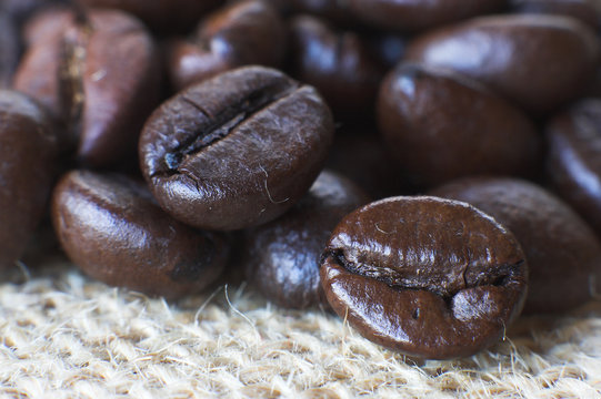 Roasted coffee seeds