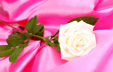 Beautiful rose on pink cloth