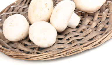 fresh mushrooms isolated on white