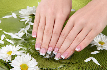 Woman hands with french manicure and flowers in green bowl with