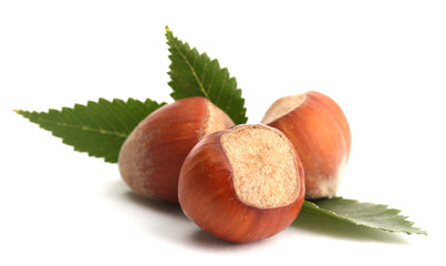 tasty  hazelnuts with leaves, isolated on white