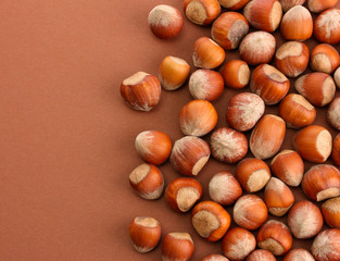 tasty  hazelnuts, on brown background