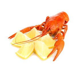 Tasty boiled crayfish with lemon isolated on white