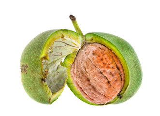 Walnut isolated on white