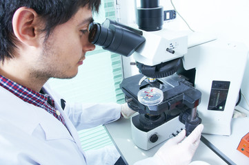 chemical analysis