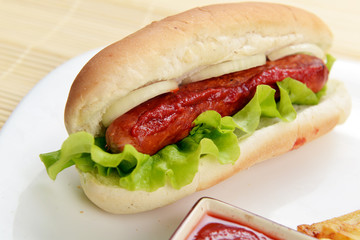 appetizing  hot dog