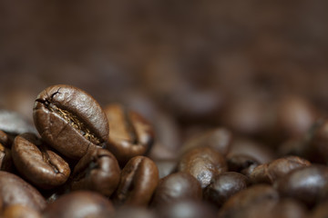 coffee beans background
