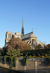 Fototapeta na wymiar Notre Dame w sunrise