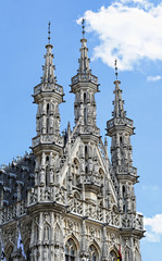 Fototapeta na wymiar Medieval gotyckiej architektury ratusz w Leuven