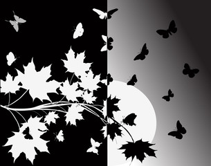 maple branch and butterflies illustration
