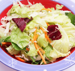 frischer Salat