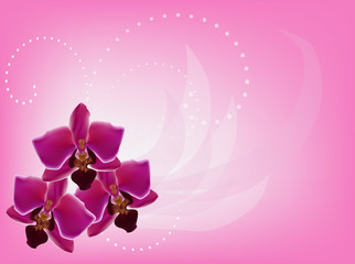 three dark pink orchid flowers decoration