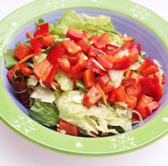 frischer Salat