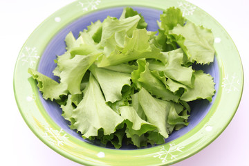 Pflücksalat
