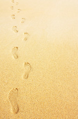 Fototapeta na wymiar footprints w tle piasku